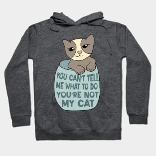 You Can't Tell Me What To Do You're Not My Cat Hoodie